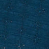 Teal Blue Elegance Indo Western